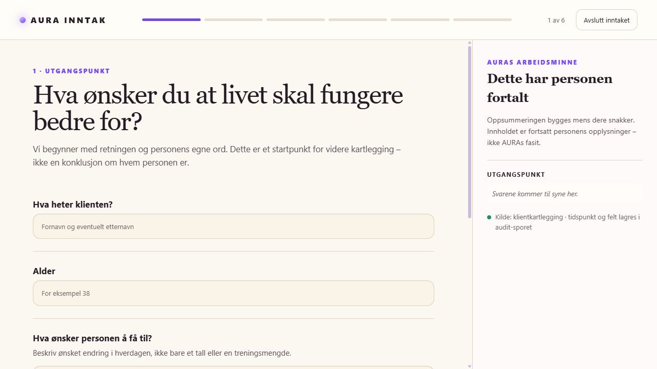 Den faktiske AURA-kartleggingen med spørsmål om mål, alder og ønsket endring, samt AURAs arbeidsminne.